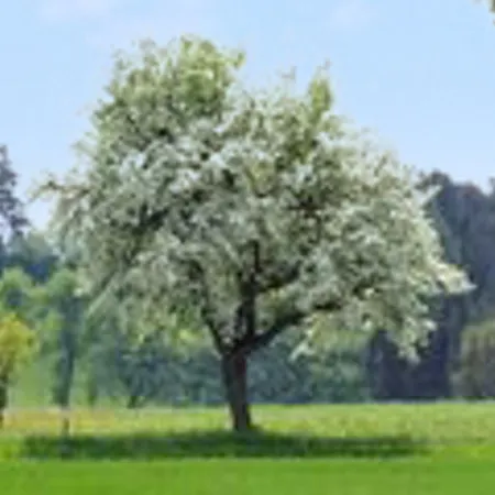 Charming House In Purgstall With A Private Garden Dom wakacyjny