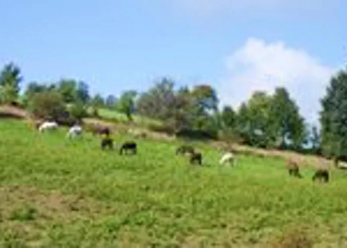 Charming House In Purgstall With A Private Garden Feriehus Hart (Scheibbs)