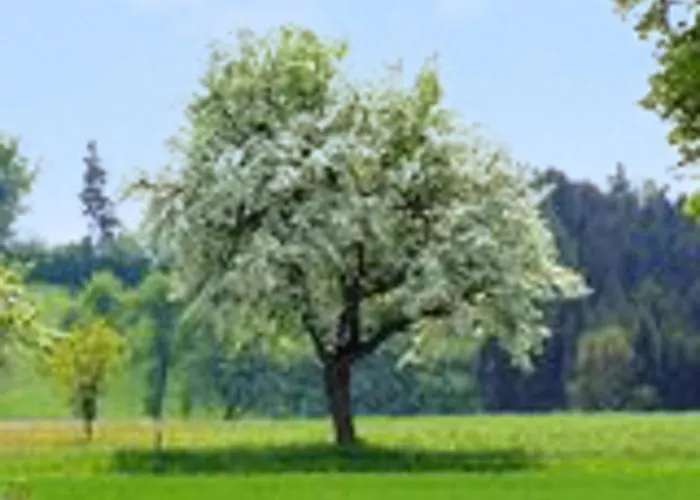 Feriehus Charming House In Purgstall With A Private Garden Hart (Scheibbs)