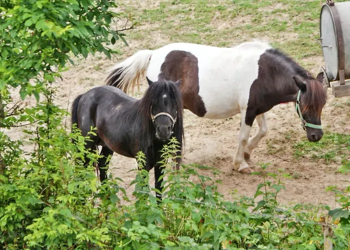 Charming House In Purgstall With A Private Garden