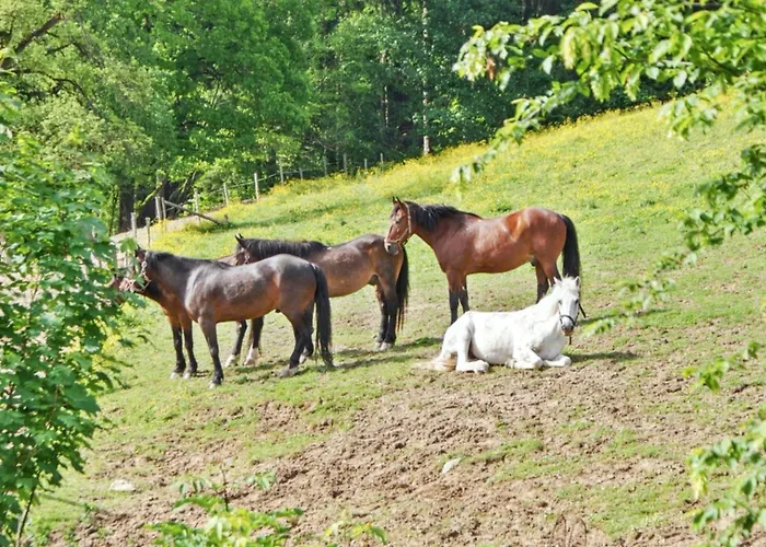 Charming House In Purgstall With A Private Garden Feriehus